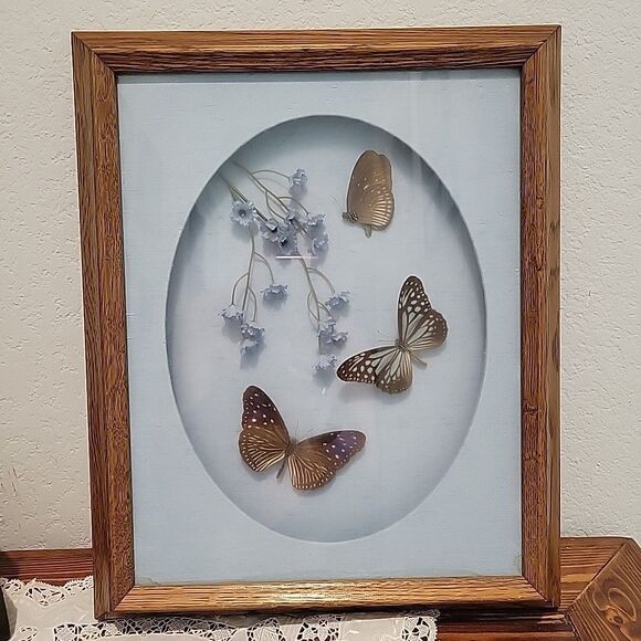 Vtg 3 Butterflys & Flowers Mounted In Shadow Box Frame Taxidermy Oklahoma Flaw - Picture 3 of 12